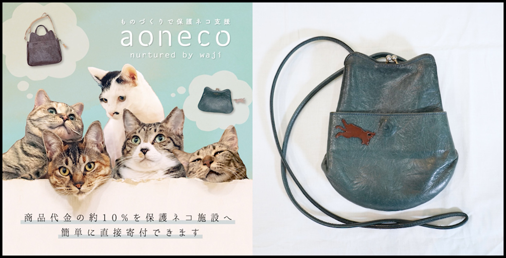 保護猫プロジェクト「aoneco」